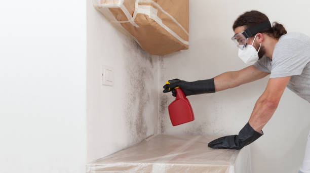 Professional Basement Mold Remediation technician working in Milroy, PA