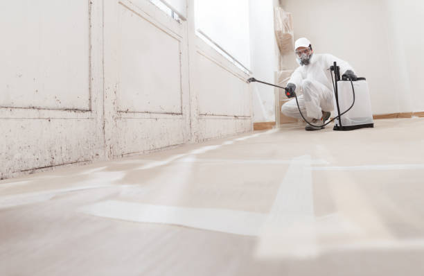 24/7 Emergency Basement Mold Remediation experts in Milroy, PA