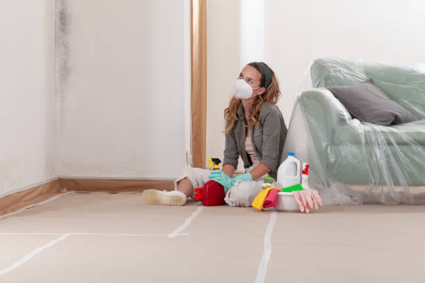 Reliable Basement Mold Remediation contractor in Milroy, PA by WQB Mold Removal